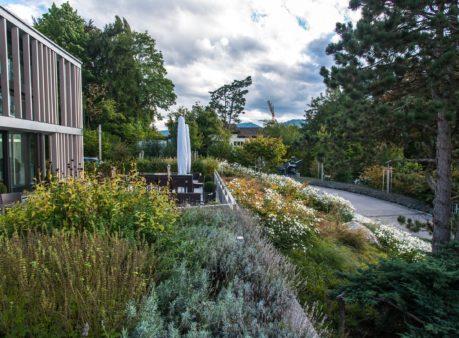 Berger-Gartenbau-Hotel-Belvoir-Rüschlikon