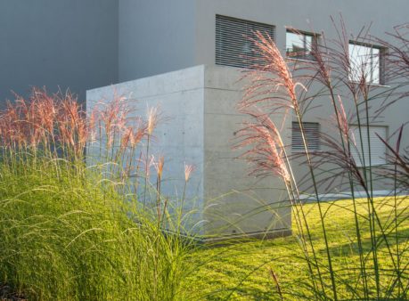 Berger-Gartenbau-Liegenschaft-Erliweg-Steinhausen