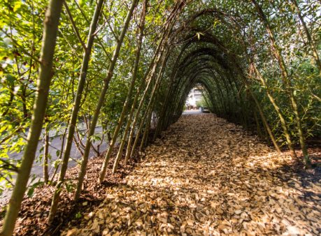 Berger-Gartenbau-Liegenschaft-Erliweg-Steinhausen