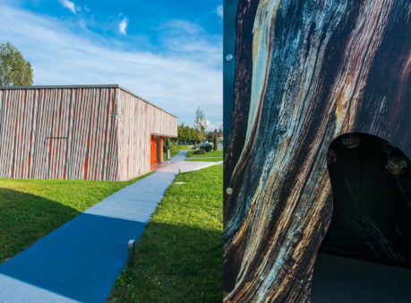 Berger Gartenbau Migros Genossenschaft Thalwil