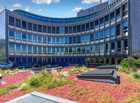 Berger Gartenbau Selnaustrasse Neue Börse Zürich