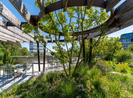 Berger Gartenbau Selnaustrasse Neue Börse Zürich