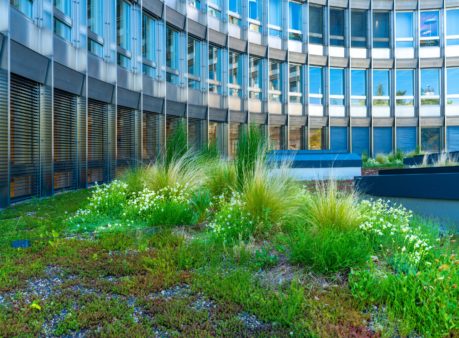 Berger-Gartenbau-Selnaustrasse-Neue-Börse-Zürich-(5)ustrasse-Neue-Börse-Zürich-(5)