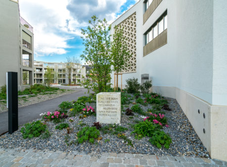 Berger Gartenbau Siedlung Stallikerstrasse Bonstetten
