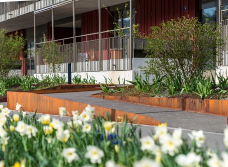 Berger Gartenbau Siedlung Tiefacker Adliswil