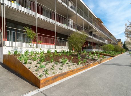 Berger Gartenbau Siedlung Tiefacker Adliswil