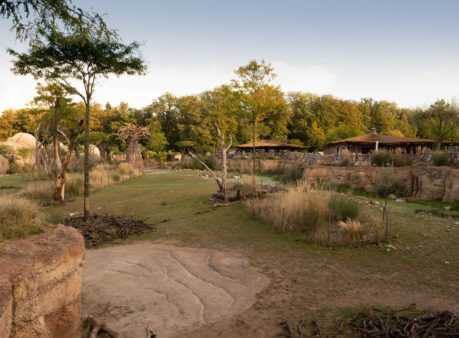 Berger Gartenbau Zoo Zürich
