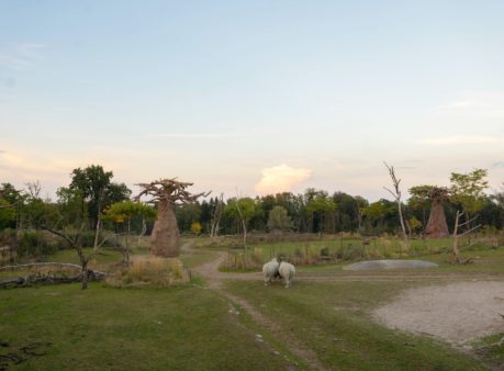 Berger-Gartenbau-Zoo-Zürich-4