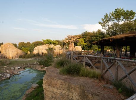 Berger Gartenbau Zoo Zürich