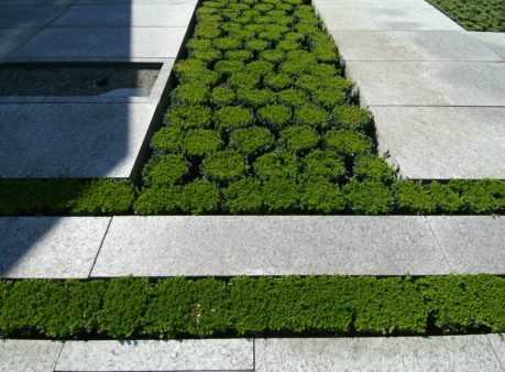 Berger Gartenbau SwissRe Adliswil