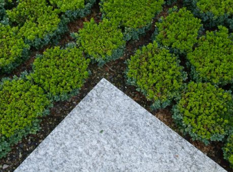 Berger Gartenbau SwissRe Adliswil