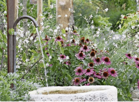 Limmattaler Zeitung Berger Gartenbau 2019