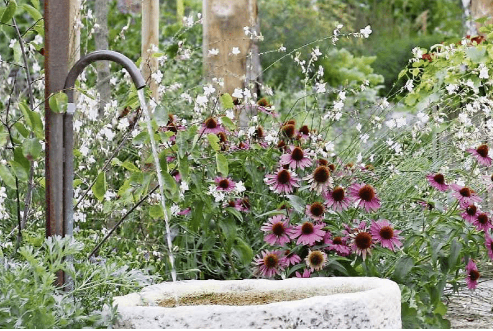 Limmattaler Zeitung Berger Gartenbau 2019