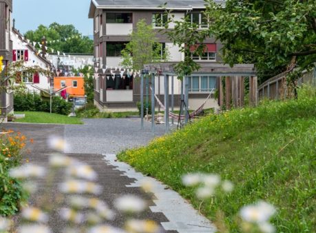 Berger-Gartenbau-Balbernstrasse-Zürich-(3)