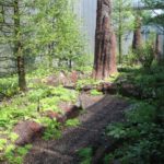 Berger-Gartenbau-Fifa-Zürich-(1)