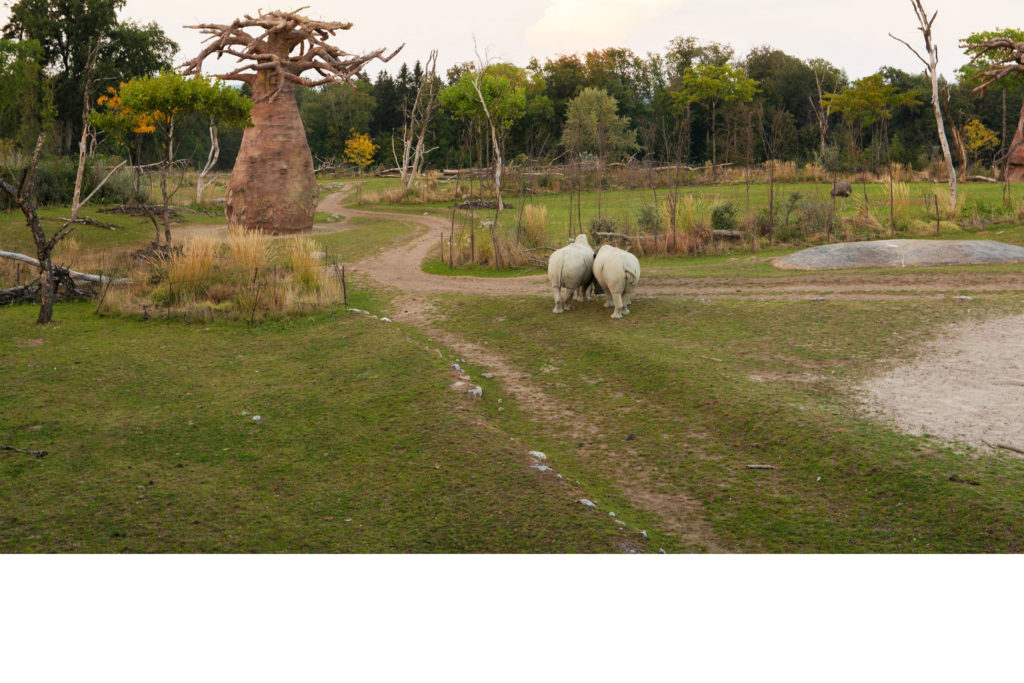 Berger-Gartenbau-Zoo-Zürich