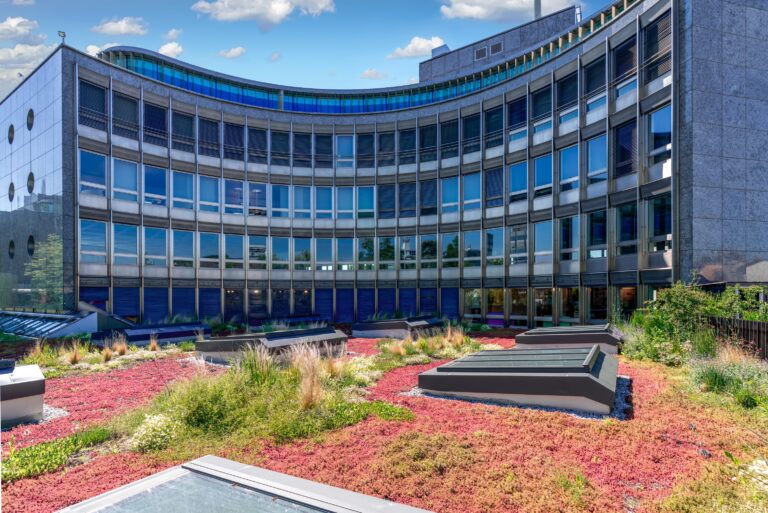 Berger-Gartenbau-Selnaustrasse-Neue-Boerse-Zuerich-2